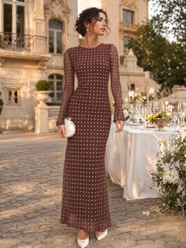 Long Sleeve Floral Mesh Maxi