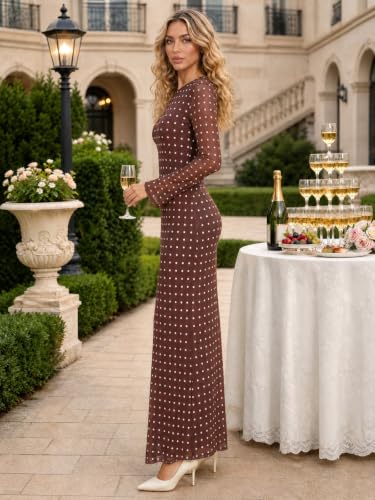 Long Sleeve Floral Mesh Maxi