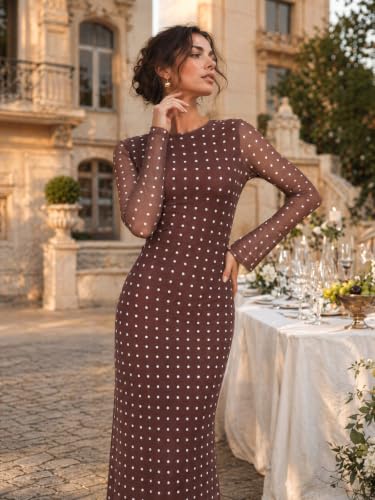 Long Sleeve Floral Mesh Maxi